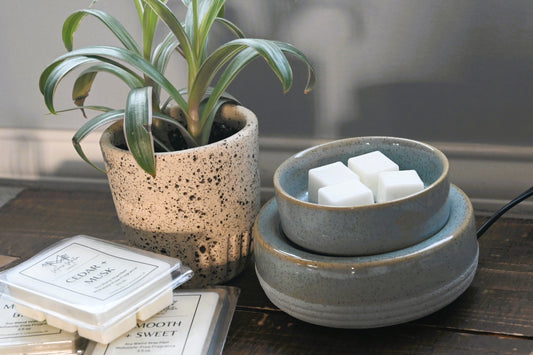 Wax Warmer: 2-in-1 Electric