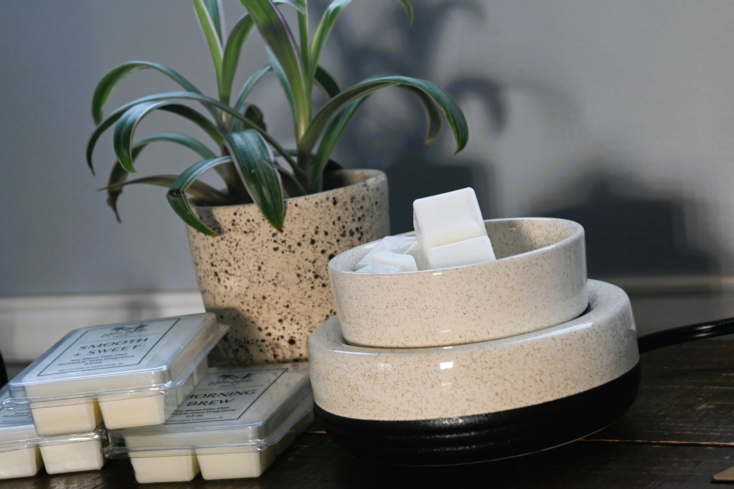 Wax Warmer: 2-in-1 Electric