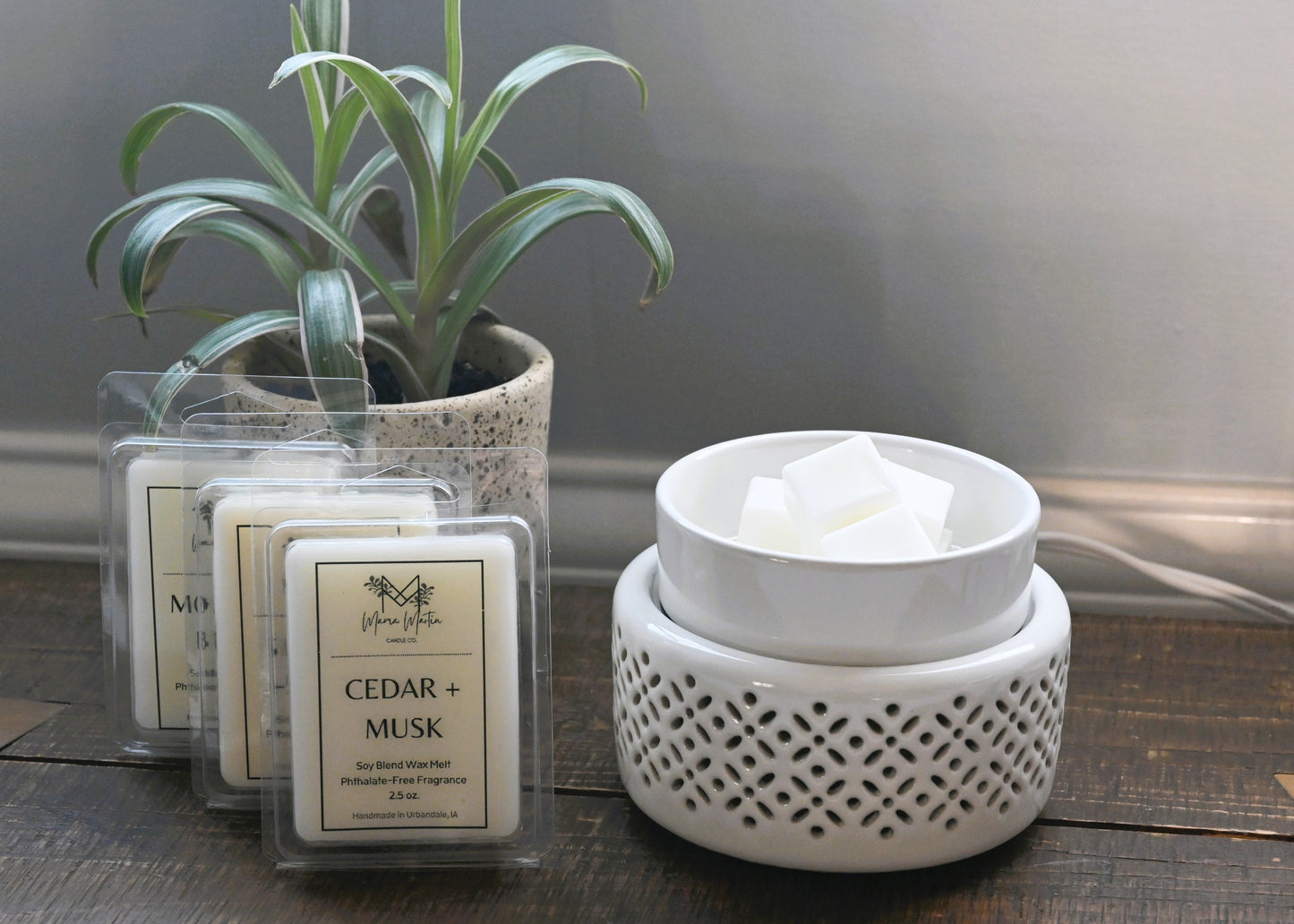 Wax Warmer: 2-in-1 Electric