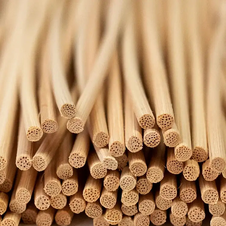 Diffuser Reeds